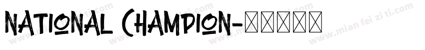 National Champion字体转换